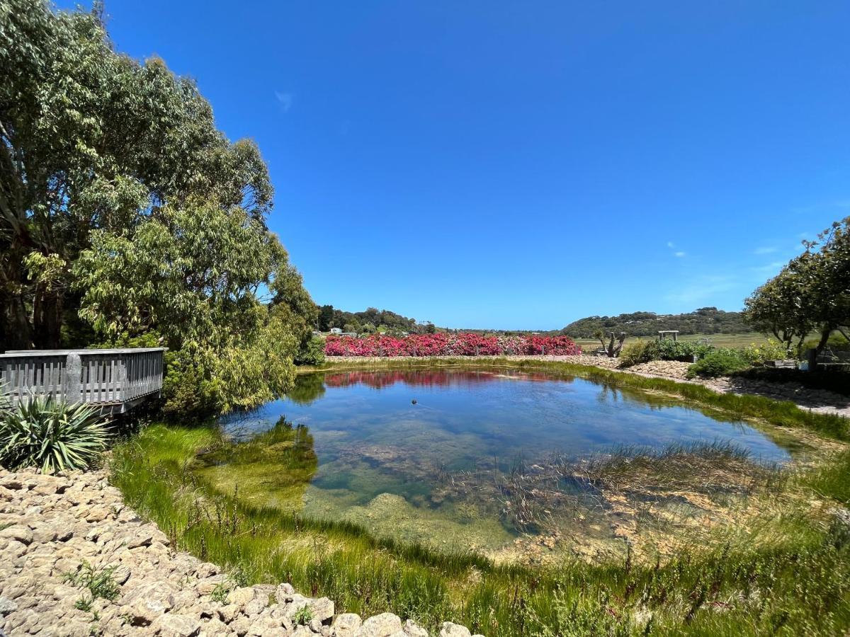 Daysy Hill Country Cottages Port Campbell Exterior foto